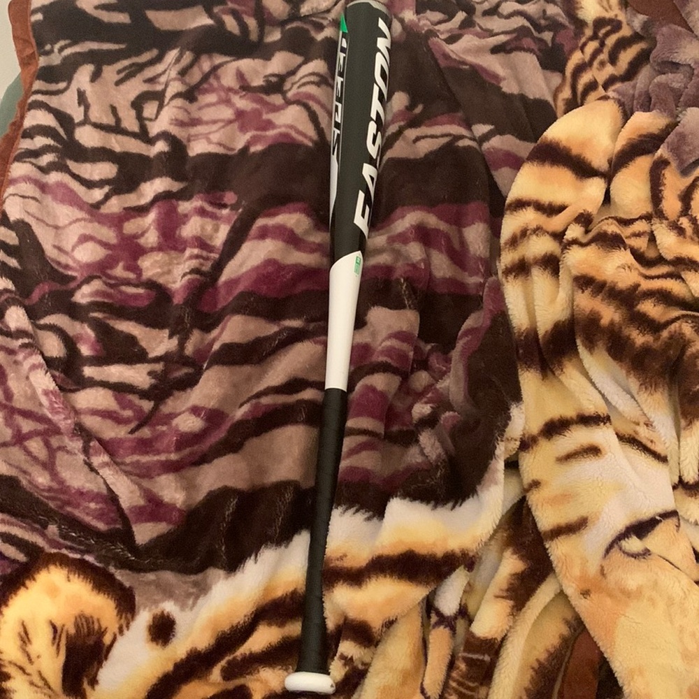 Easton Project 3 Speed BBCOR Bat 2019